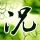 支付宝